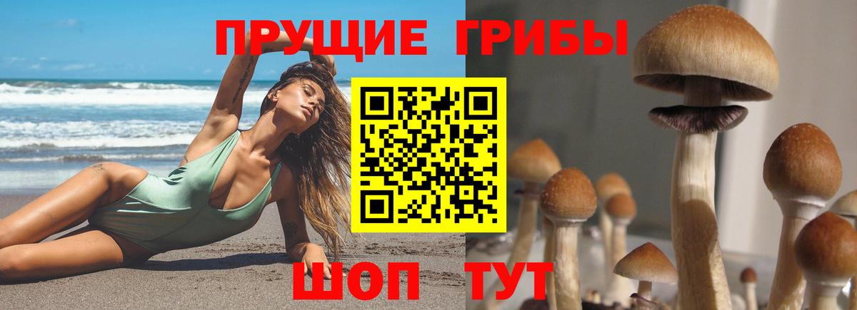 Галлюциногенные грибы мухоморы Азов