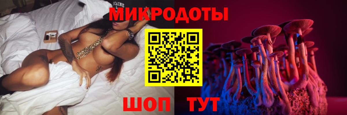 Азов  Галлюциногенные грибы Psilocybine cubensis  Галлюциногенные грибы прущие грибы  Вход с VPN 